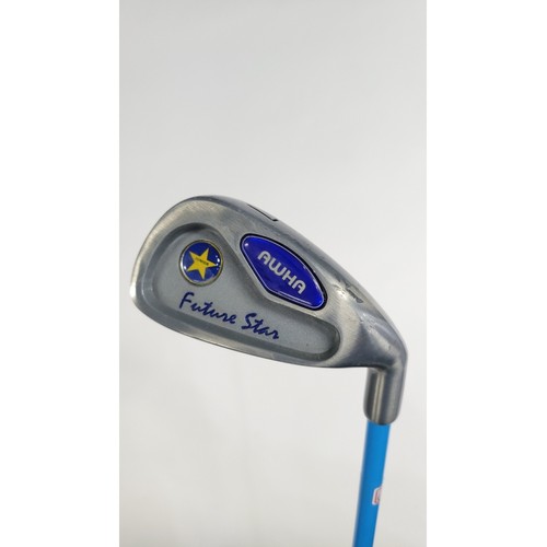 Ahwa golf junior - ahwa,